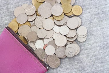 Para kavramı, çanta paralar ile kaydetme