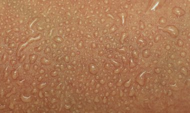 İnsan derisi ve ter