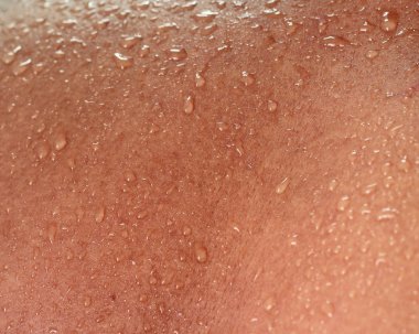 İnsan derisi ve ter