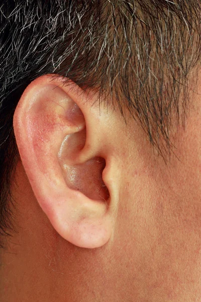 Мужское ухо крупным планом — стоковое фото