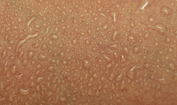 İnsan derisi ve ter