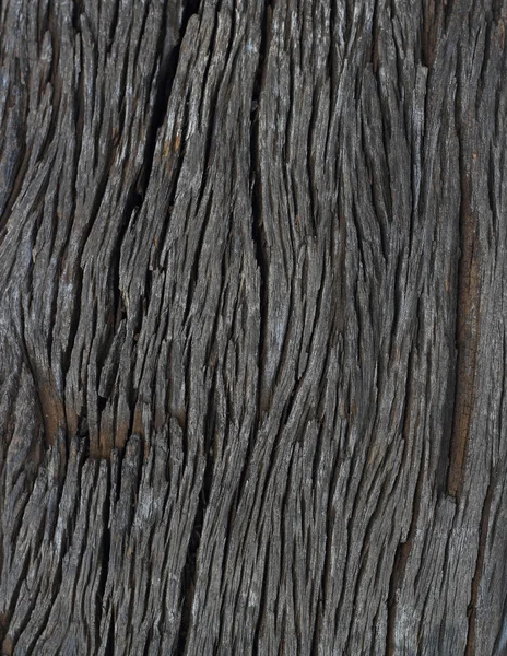 Texture Of Wood — Stock Photo, Image