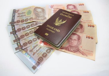 Passport, beyaz zemin üzerine izole para