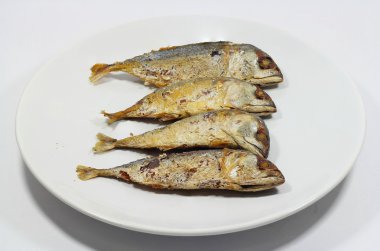 beyaz zemin üzerine kızarmış uskumru