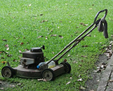 Bahçede çim biçme makinesi