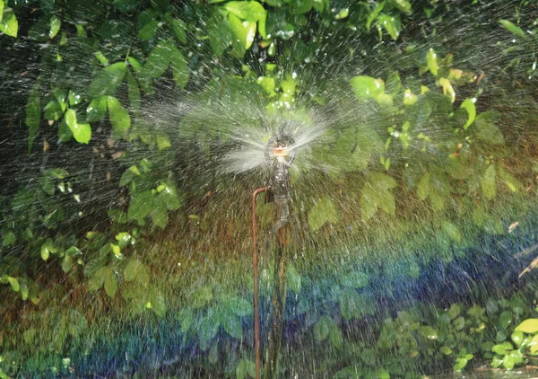 Irrigatie van landbouwgebied, water sprinkler — Stockfoto