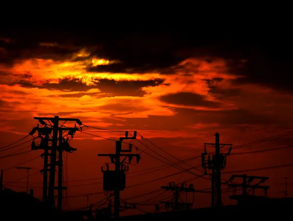 Electric poles on sunset — Stock Photo, Image