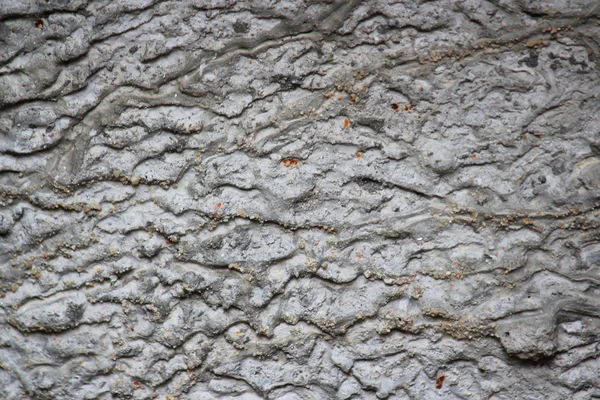 Alte schmutzige Mauer — Stockfoto