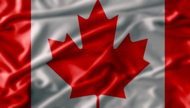 Kanada bayrağı