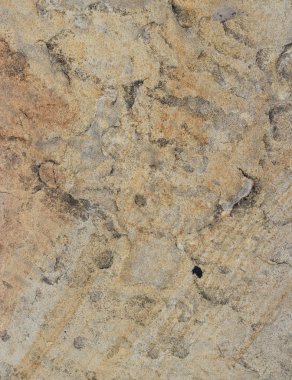 Kahverengi renkli mermerin yüzeyi