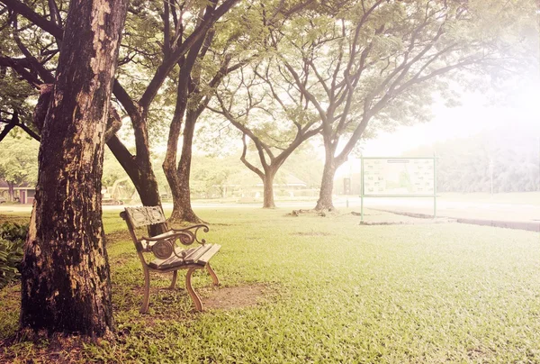 Скамейка в зеленом парке — стоковое фото