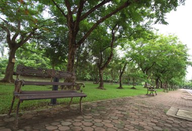 Yeşil parktaki bank.