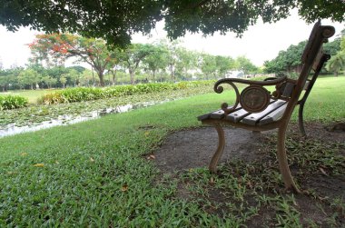 Yeşil parktaki bank.