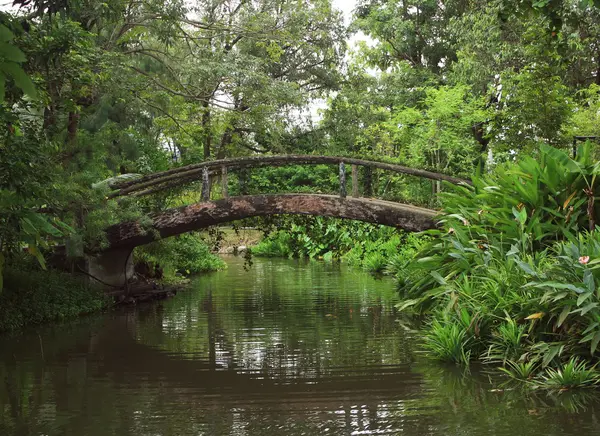 Alte Brücke im Park — Stockfoto