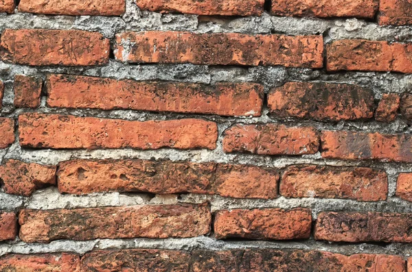 Textura de pared de ladrillo viejo — Foto de Stock