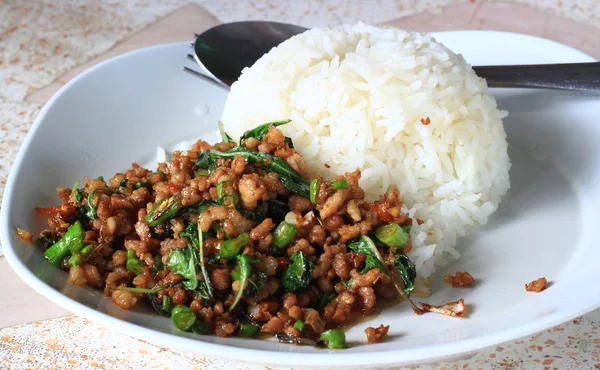 Comida picante tailandês manjericão porco frito receita de arroz — Fotografia de Stock