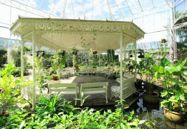 Beyaz köşk bitki Bahçe kamu