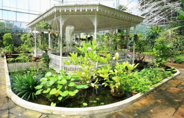 Beyaz köşk bitki Bahçe kamu