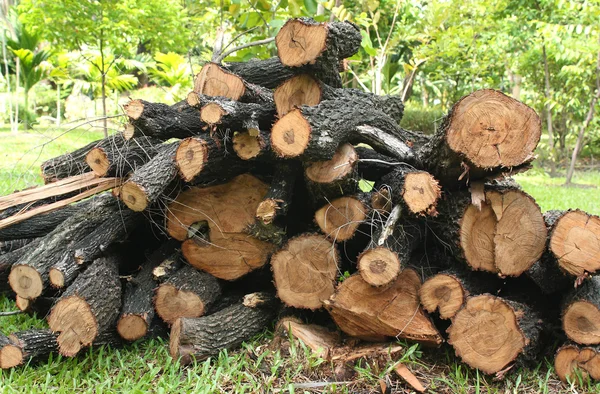 Holzstruktur — Stockfoto