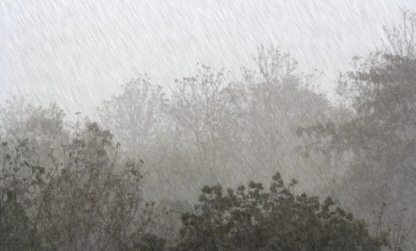 Llueve sobre la naturaleza. lluvia de fondo abstracta —  Fotos de Stock