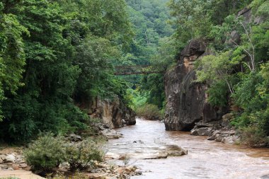 Ahşap köprü ormandaki taş '