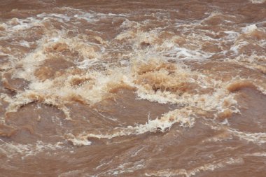 Ormanda su hızlı hareketi.