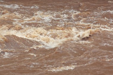 Ormanda su hızlı hareketi.