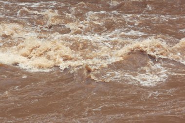 Ormanda su hızlı hareketi.