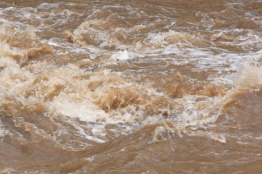 Ormanda su hızlı hareketi.