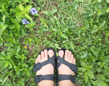 Bahçenin ferahlatıcı atmosferiyle çimenlerin üzerinde kadın ayakkabıları..