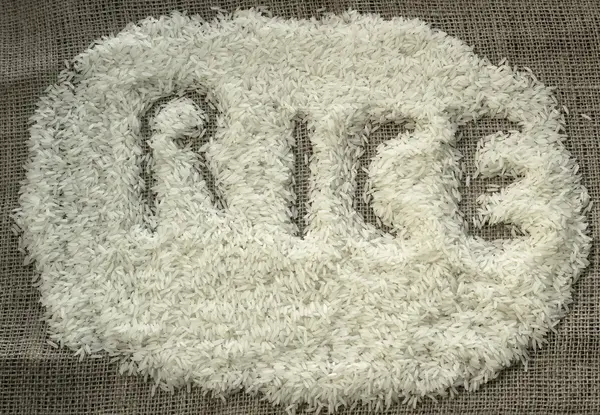 Texture de riz blanc — Photo