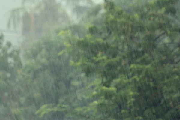 Temporada de lluvias al aire libre — Foto de Stock