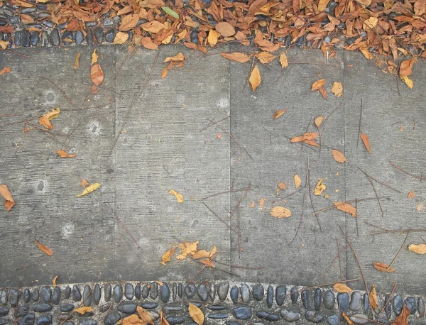 Old cement walkways for the background. — Stock Photo, Image