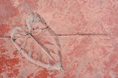 yaprak doğal tarzı çimento doku üzerinde yazdırma