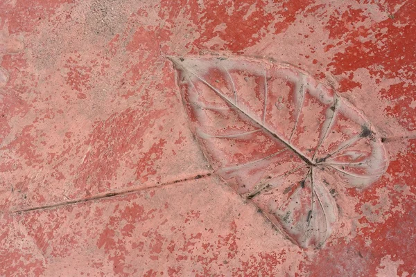 yaprak doğal tarzı çimento doku üzerinde yazdırma