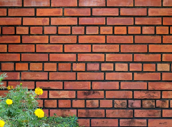 Rode baksteen muur textuur achtergrond — Stockfoto