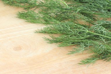 Taze yeşil dereotu.