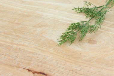 Taze yeşil dereotu.