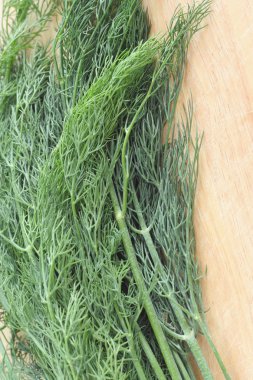 Taze yeşil dereotu.