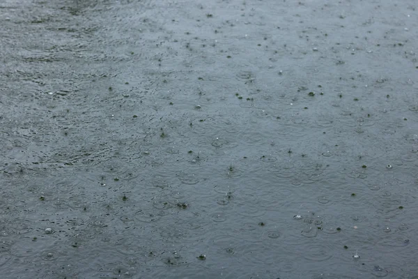 Gotas de chuva ondulando em uma poça — Fotografia de Stock