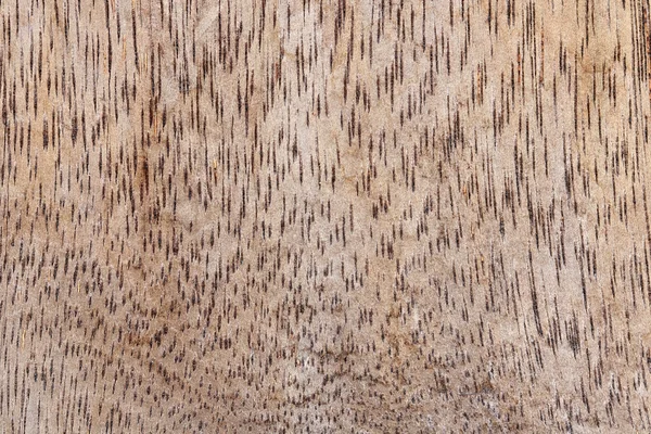 Texture bois avec motif bois naturel pour le design et la décoration — Photo