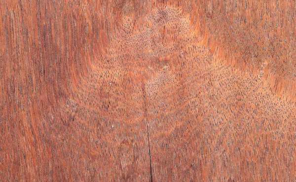 Texture of wood background — Stock Photo, Image