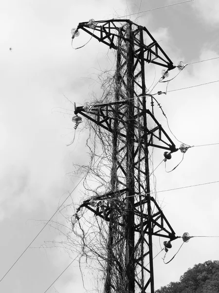 Elektromos rúd az ég hátterében — Stock Fotó