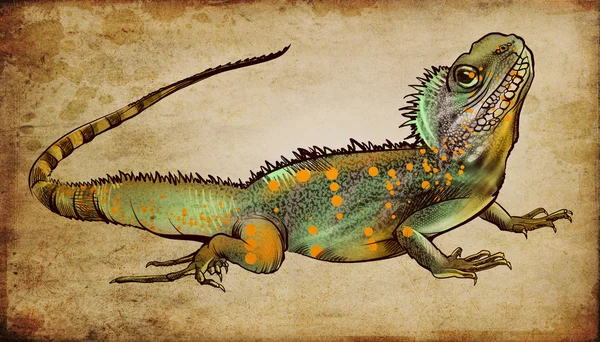 Vintage handdrawn lizard — Stock Photo, Image