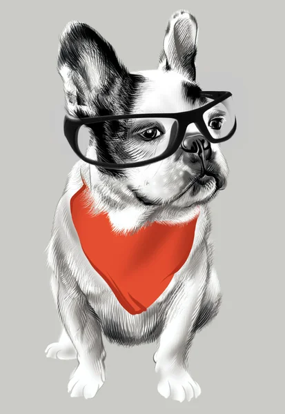 Gözlük takan boyalı Fransız buldozer