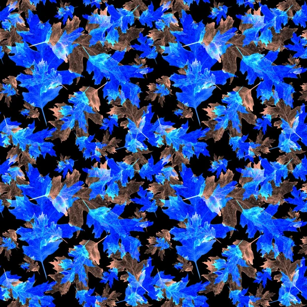 Ακουαρέλα μπλε φύλλα — Φωτογραφία Αρχείου