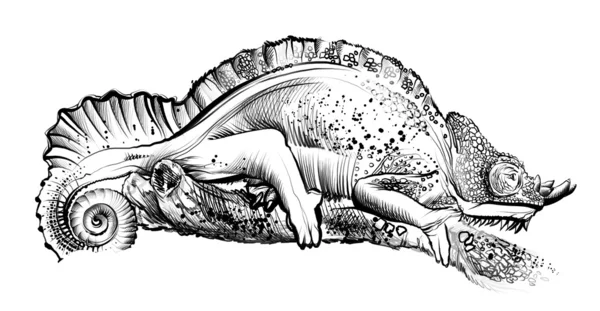 Esboço de lagarto desenhado à mão — Fotografia de Stock