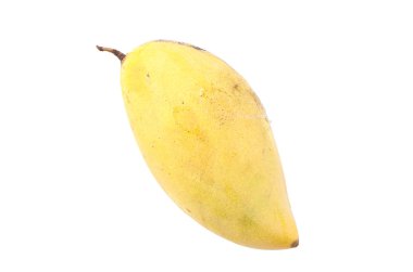 Turuncu zemin üzerine