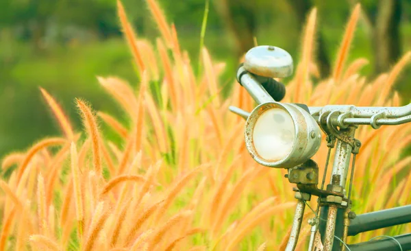 自然のビンテージ自転車 — ストック写真