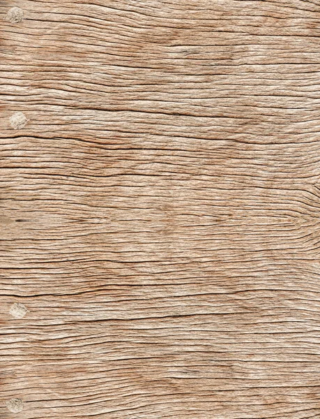Texture en bois d'écorce — Photo